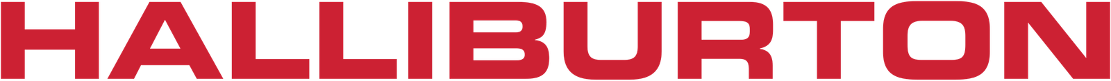 Özel Etkinlik Hizmeti halliburton logo